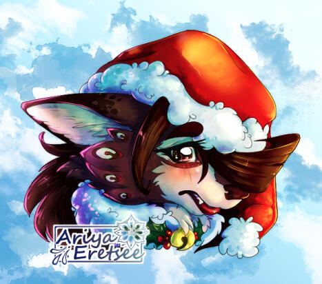 Head Full shading Christmas 2023